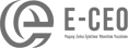 E-CEO